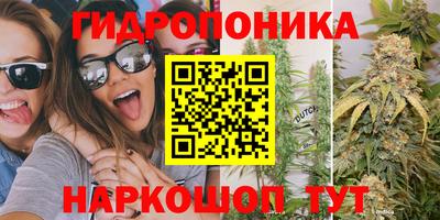 мяу мяу мука Беслан