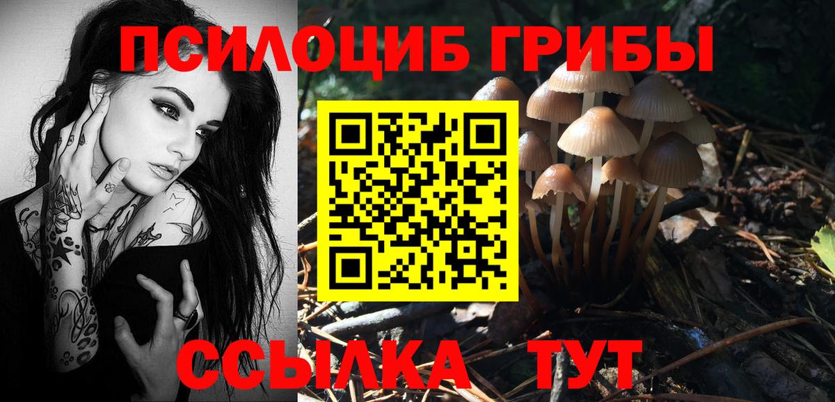 Галлюциногенные грибы прущие грибы Артём